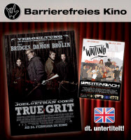 barrierefreies Kino